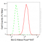 KD-Validated Anti-Bcl-2 Rabbit Monoclonal Antibody